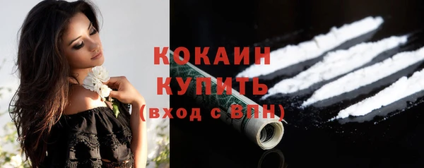шишки Абинск