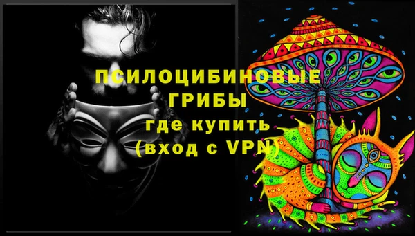 шишки Абинск