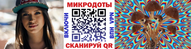 Псилоцибиновые грибы Psilocybine cubensis  Петров Вал 